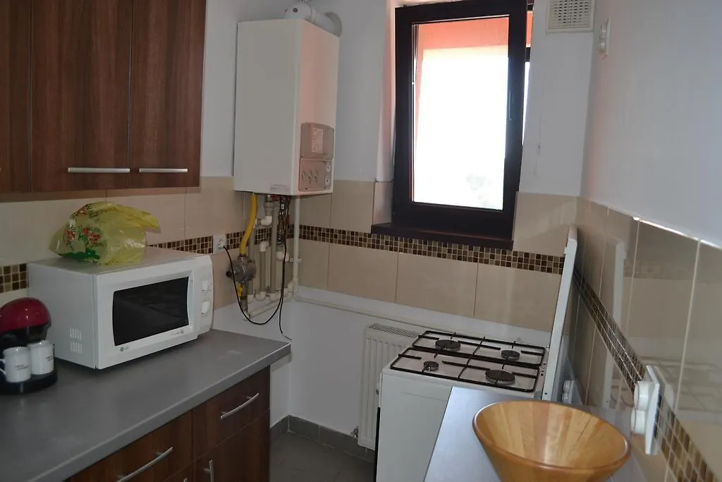 Charming Big Terrace Apartment ブカレスト